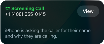 iOS Call Screening